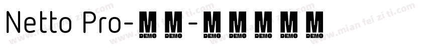 Netto Pro-常规字体转换